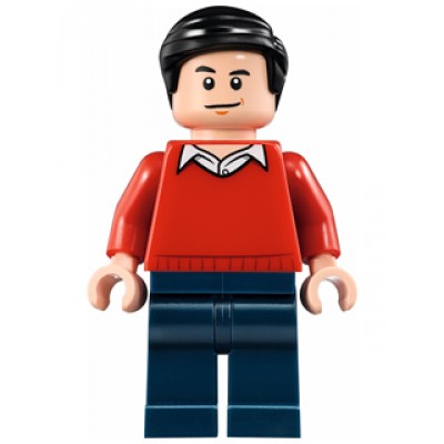 LEGO MINIFIG SUPER HEROES Dick Grayson
